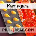 Kamagara new01